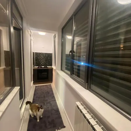 Apartment Summer Luxury *